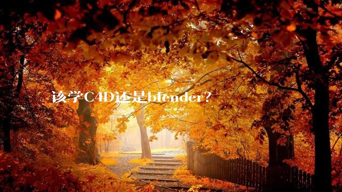 该学C4D还是blender?