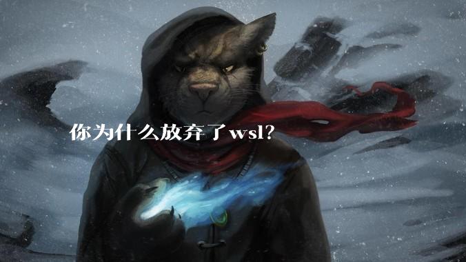 你为什么放弃了wsl?