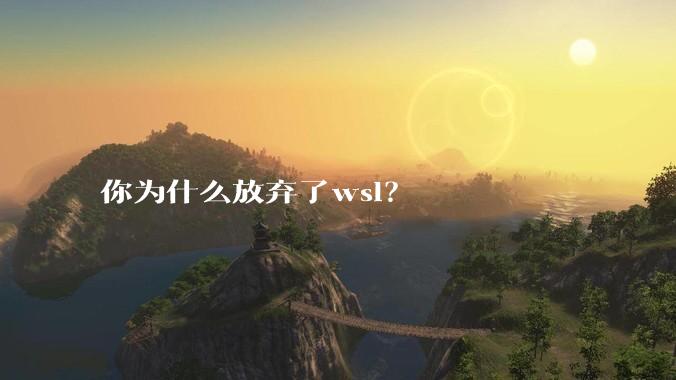 你为什么放弃了wsl?