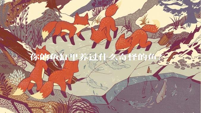 你的鱼缸里养过什么奇怪的鱼?