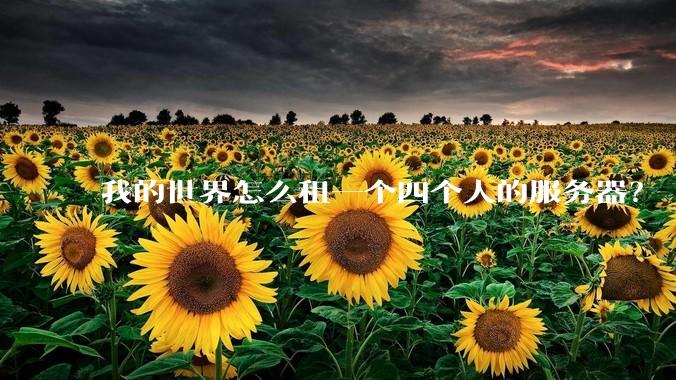 我的世界怎么租一个四个人的服务器?