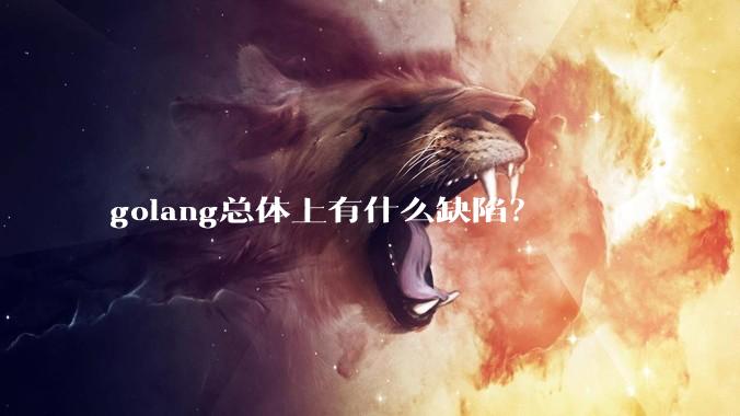 golang总体上有什么缺陷?
