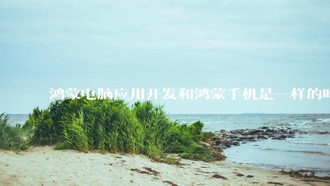 鸿蒙电脑应用开发和鸿蒙手机是一样的吗?