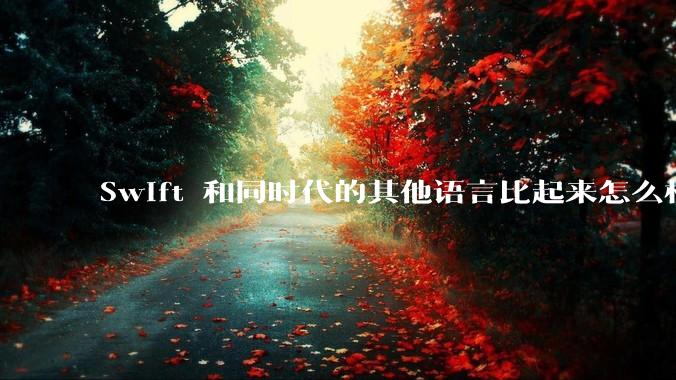Swift 和同时代的其他语言比起来怎么样?