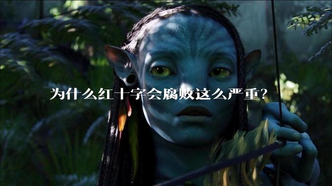 为什么红十字会腐败这么严重?