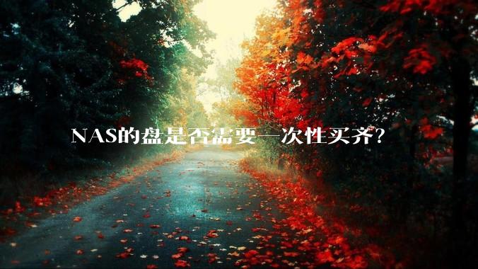 NAS的盘是否需要一次性买齐?