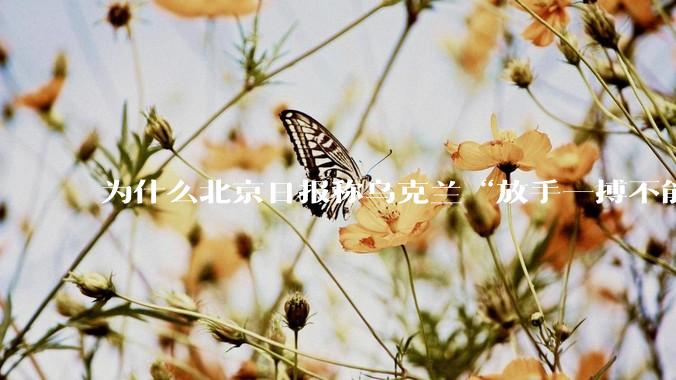 为什么北京日报称乌克兰“放手一搏不能改变其战略被动”?有道理吗?